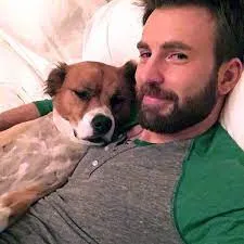 Chris Evans and Dodger